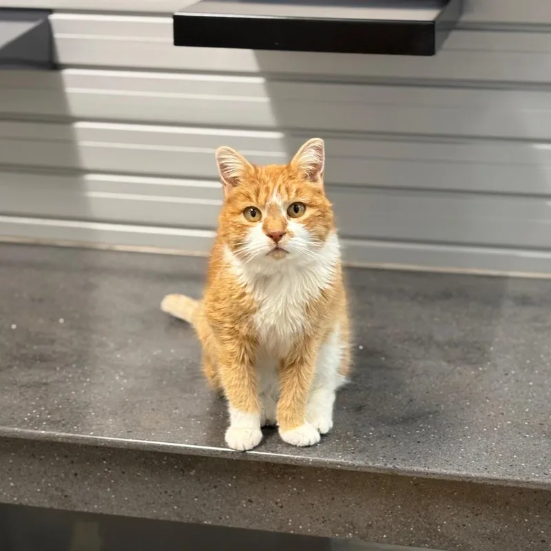 Charlene thumbnail 5