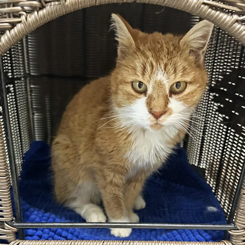 Charlene thumbnail 6