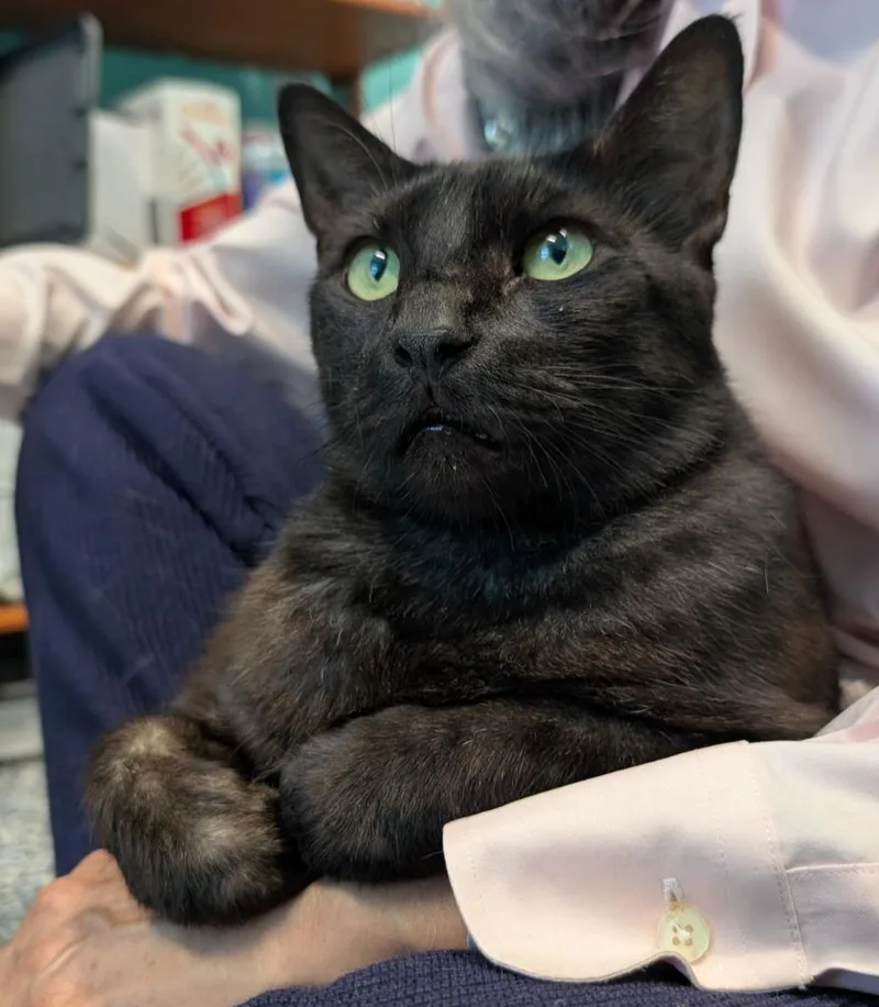 Big Teddy thumbnail 2