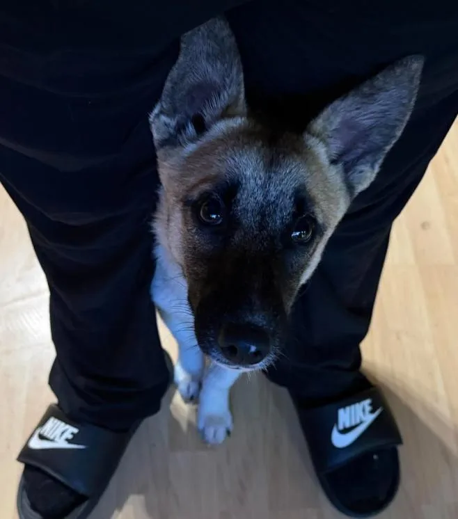 Lil Pete