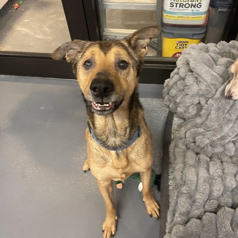 Clyde Cm thumbnail 2