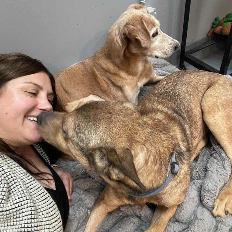 Clyde Cm thumbnail 3