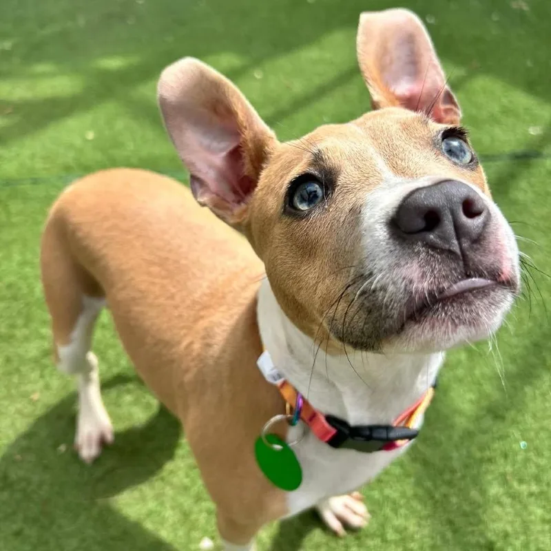 Mary Jane thumbnail 2