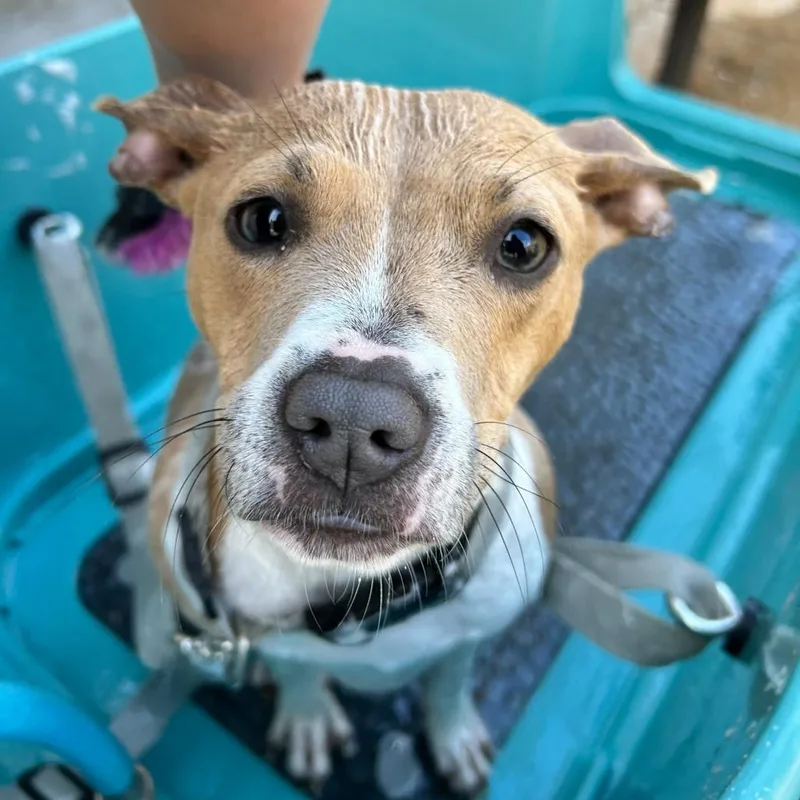 Mary Jane thumbnail 5