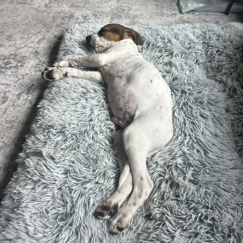 Espresso thumbnail 3