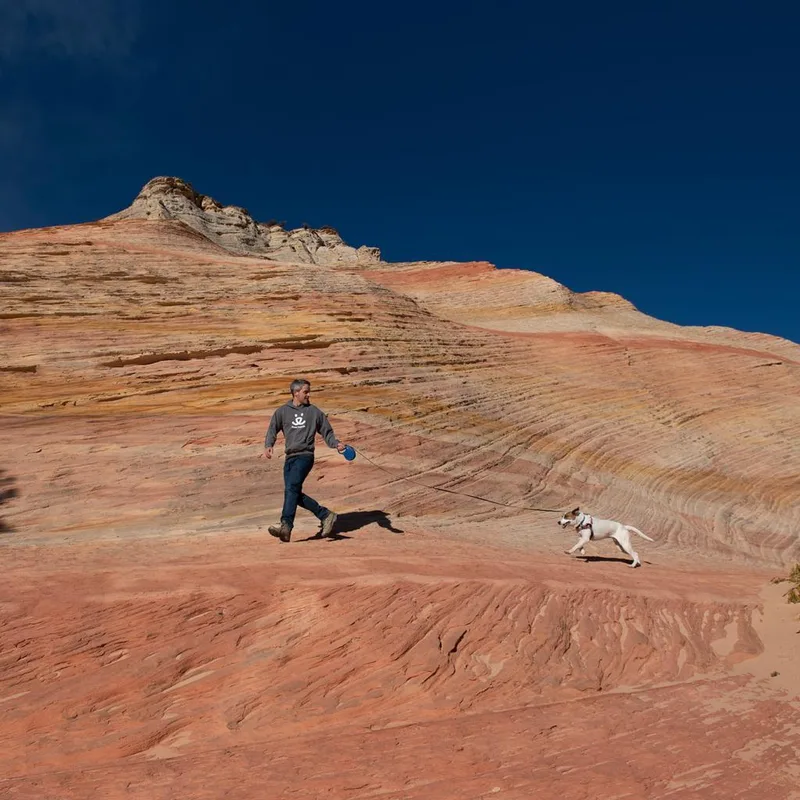 Lannister thumbnail 4