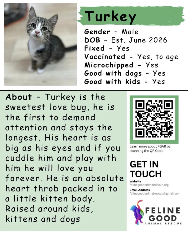 Turkey thumbnail 2