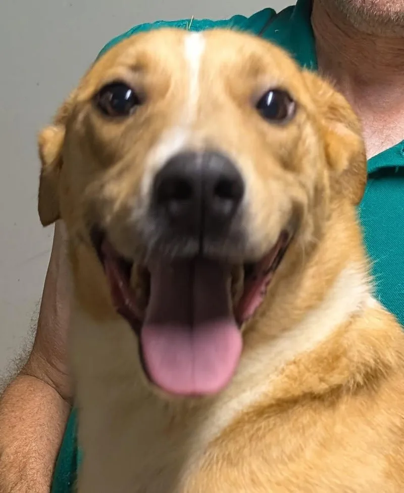 Brewster thumbnail 3