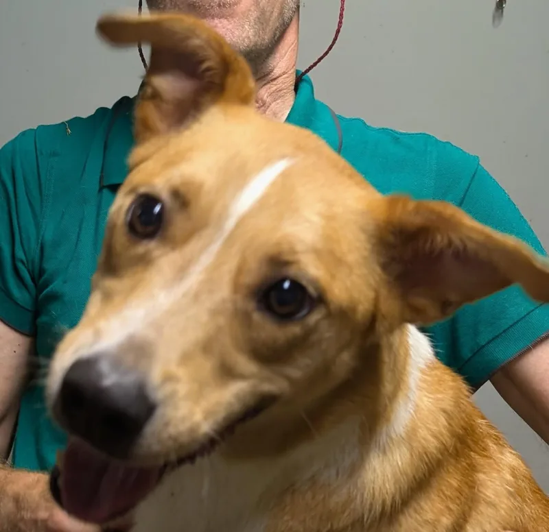 Brewster thumbnail 4