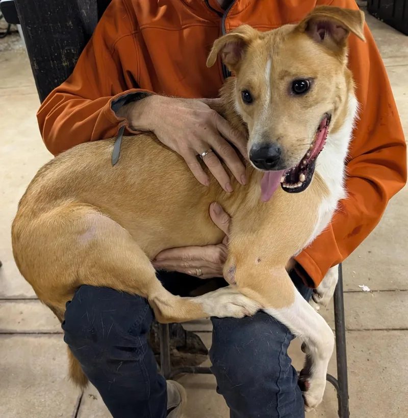 Brewster thumbnail 5