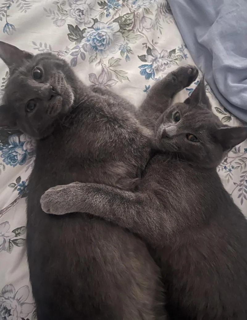 Smokey & Bandit thumbnail 2