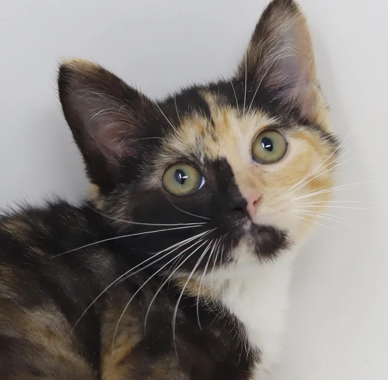 Peaches is petite and thumbnail 4