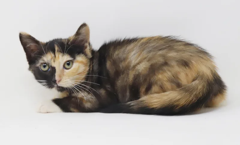 Peaches is petite and thumbnail 5