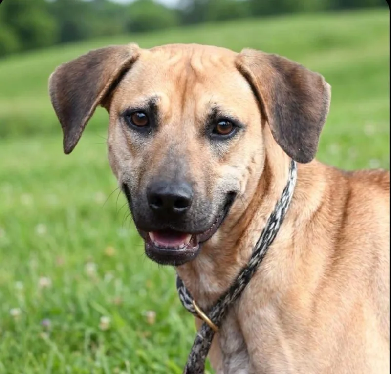 Sandi Walton thumbnail 3