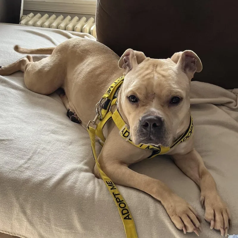 Snuggles R thumbnail 2