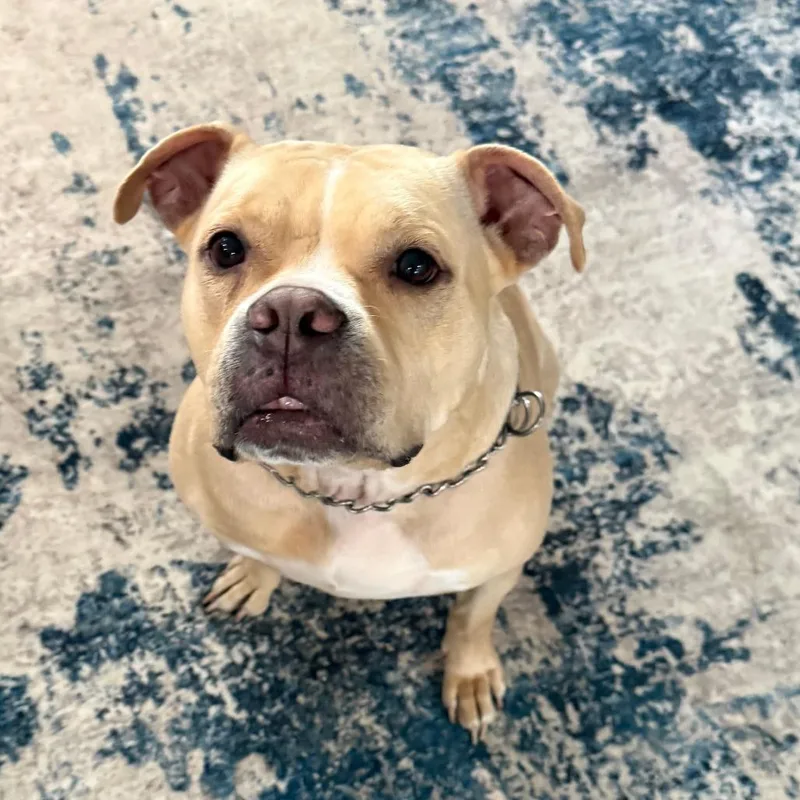 Snuggles R thumbnail 3