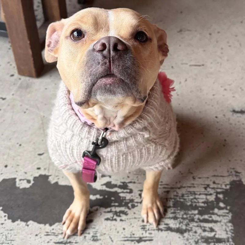 Snuggles R thumbnail 4