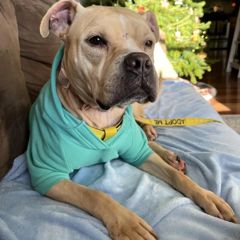 Snuggles R thumbnail 5