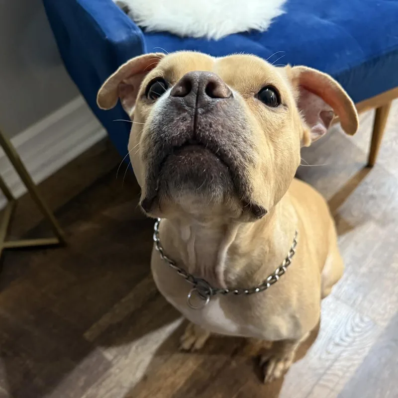 Snuggles R thumbnail 6