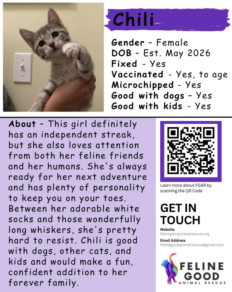 Chili thumbnail 2