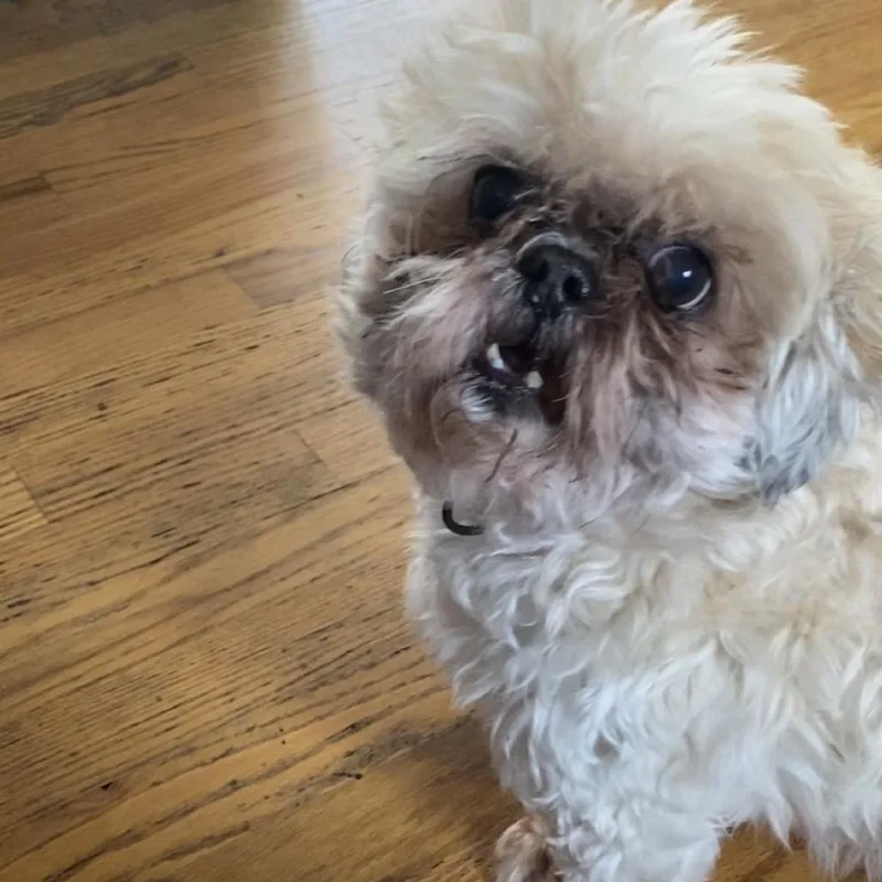 Maddie