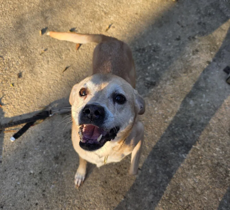 Pheobie Haven Bonded With