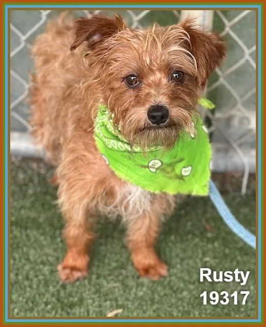 Rusty