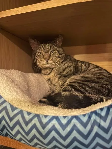 Daredevil thumbnail 2