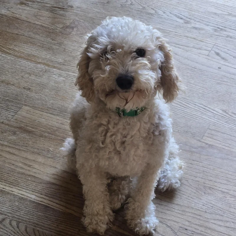 Tyson