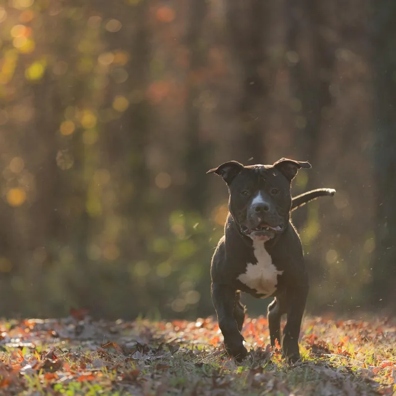 West Coast thumbnail 2