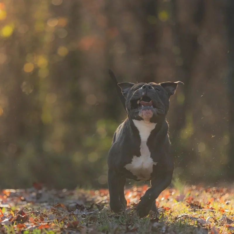 West Coast thumbnail 5