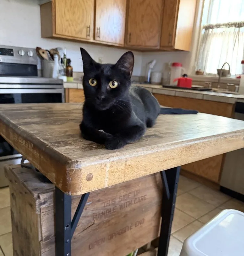 Parker