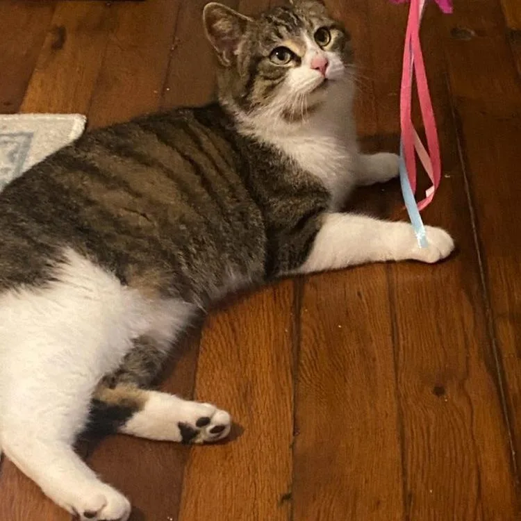 Little Bit thumbnail 2