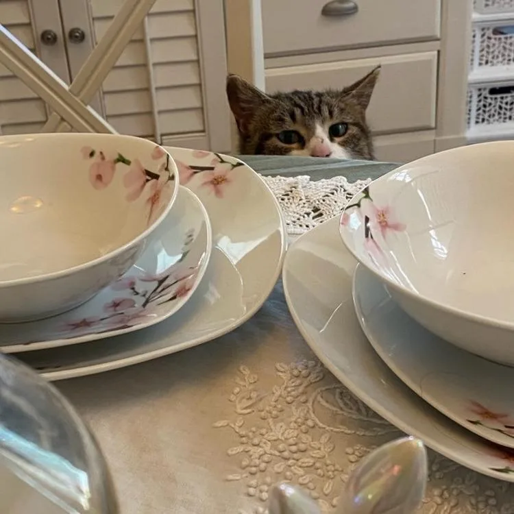 Little Bit thumbnail 3