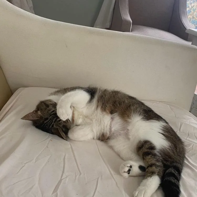 Little Bit thumbnail 4