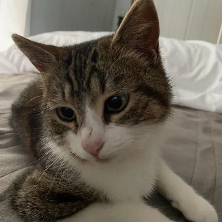 Little Bit thumbnail 5