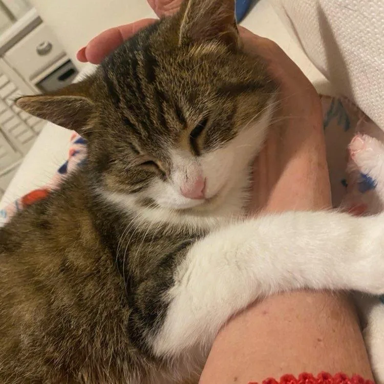 Little Bit thumbnail 6