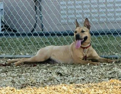 Sunshine thumbnail 2