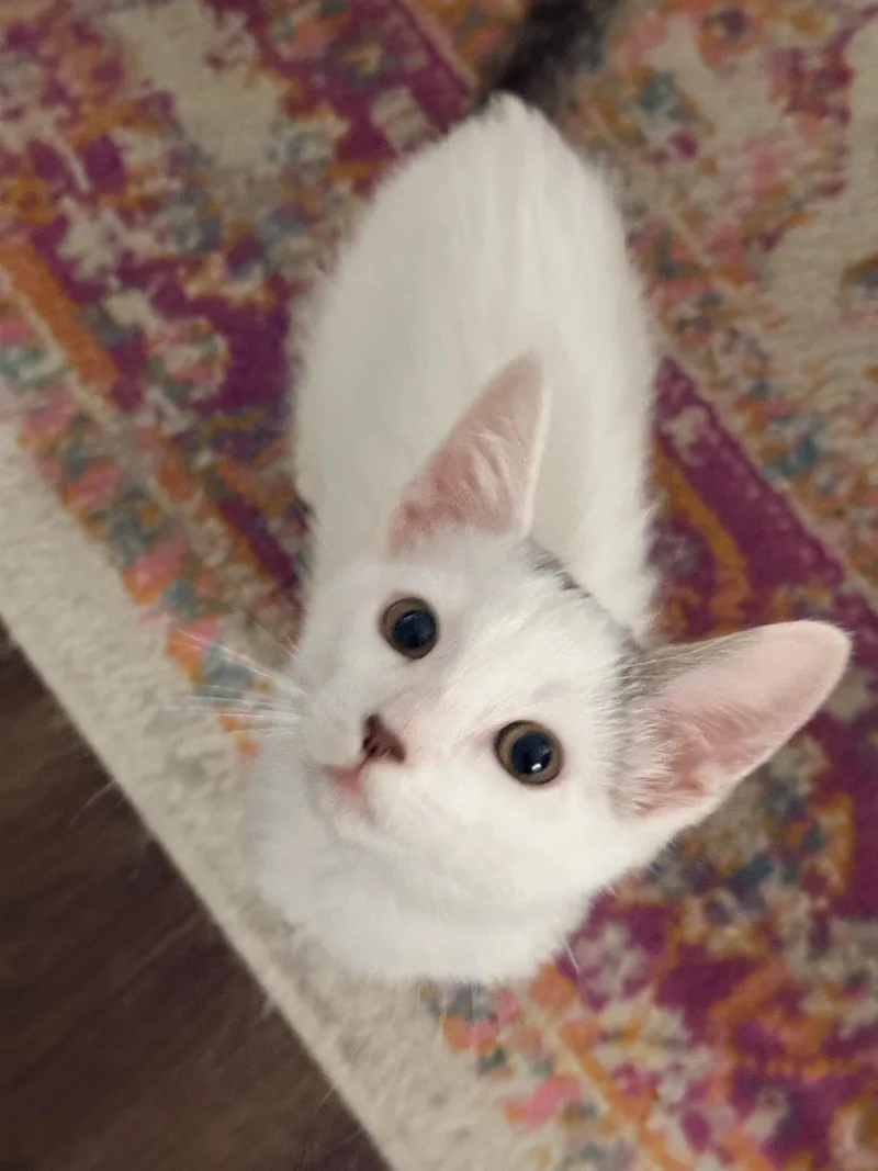 Casper thumbnail 5