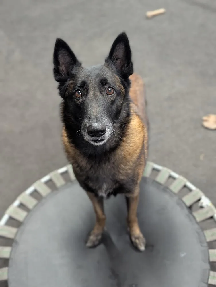 Calusa  Located In thumbnail 2