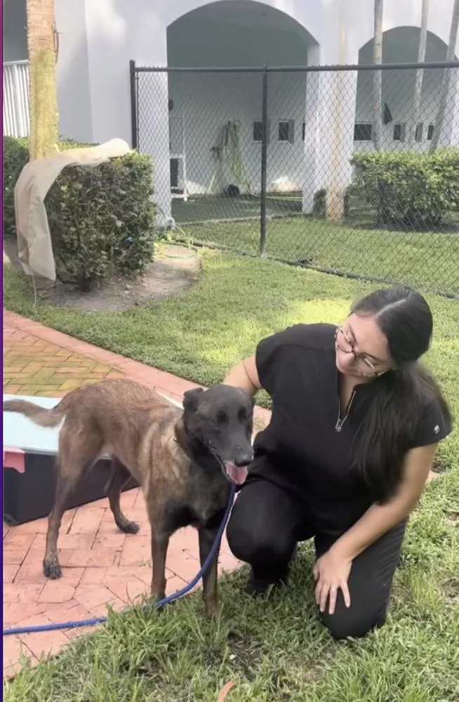 Calusa  Located In thumbnail 3