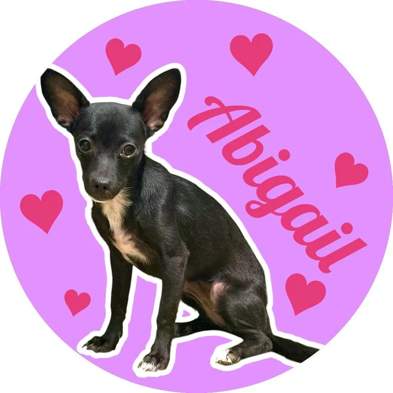 Abigail thumbnail 3