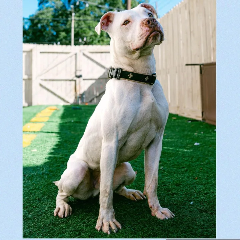 Goob Gooberson thumbnail 3