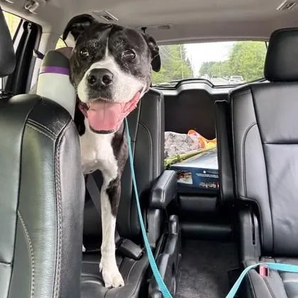 Lexi in Maine thumbnail 3