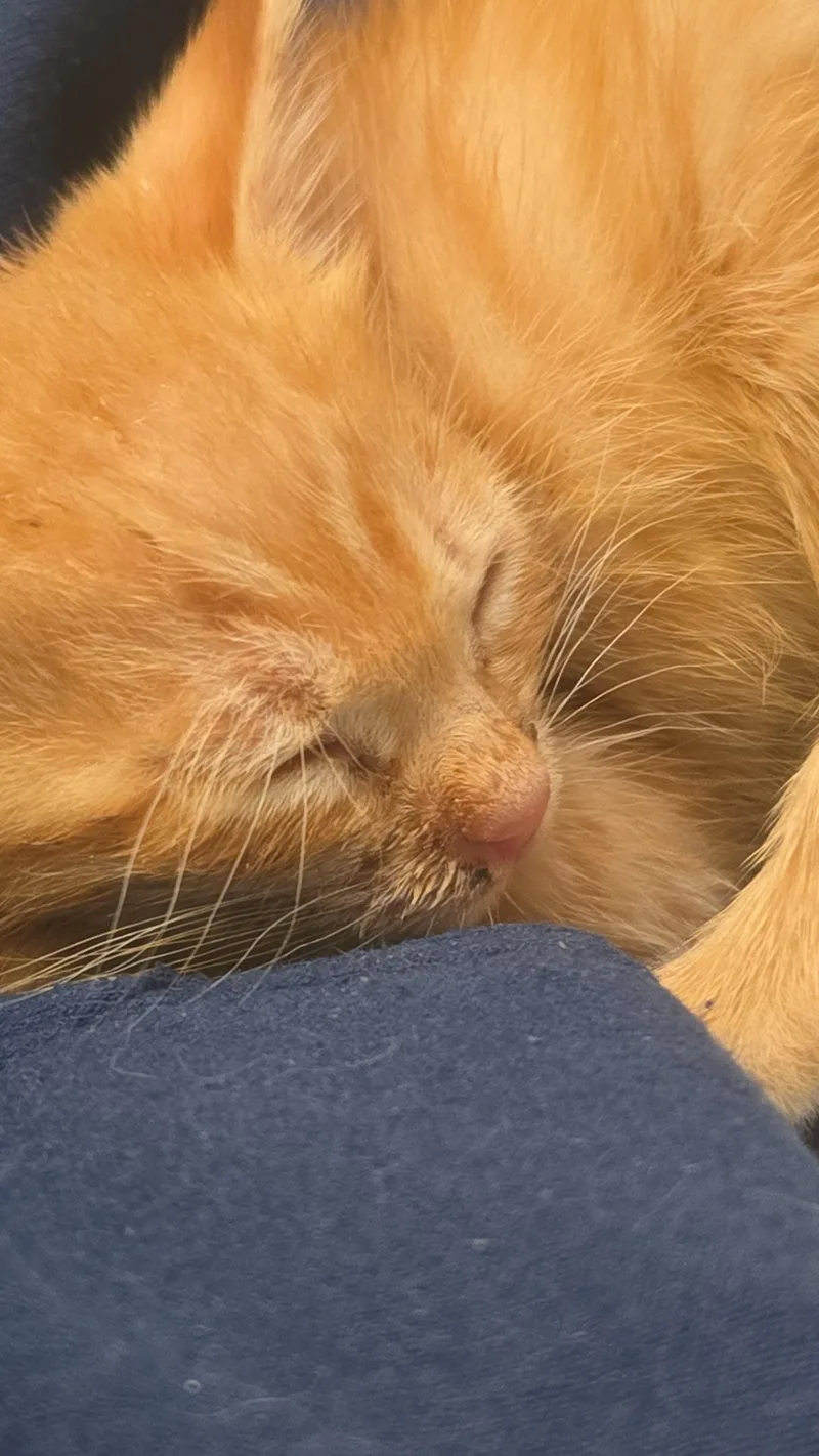 Swiper thumbnail 3