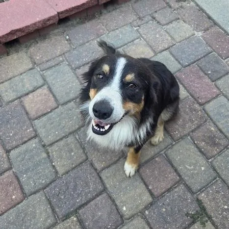 Oliver
