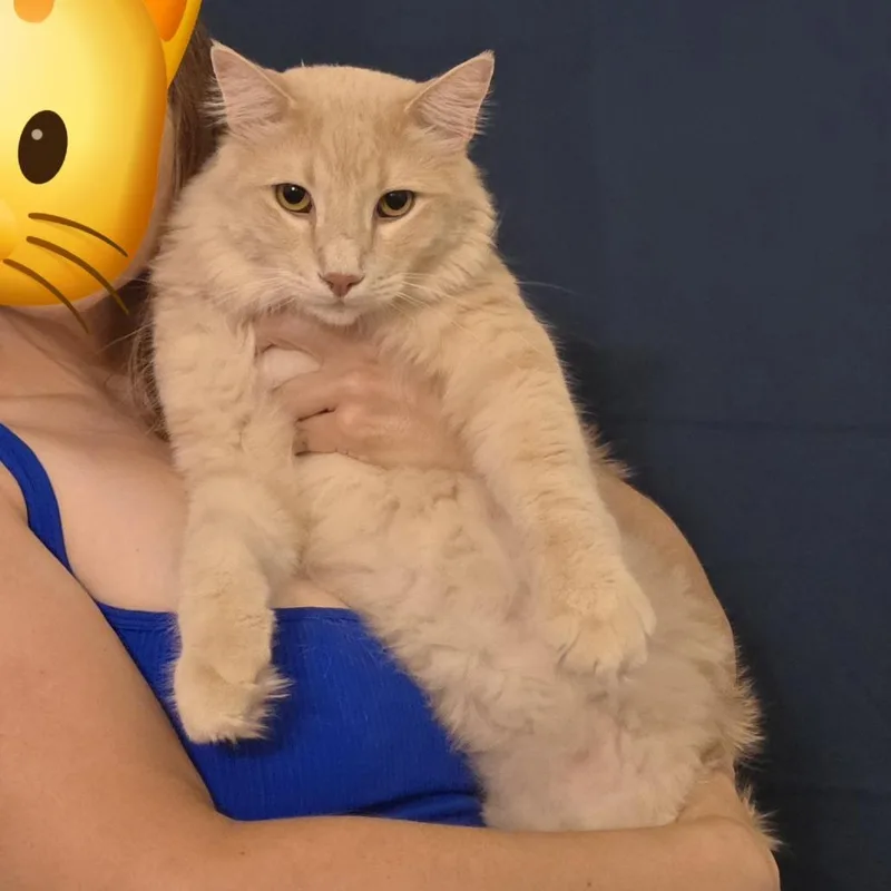 Alistair thumbnail 5