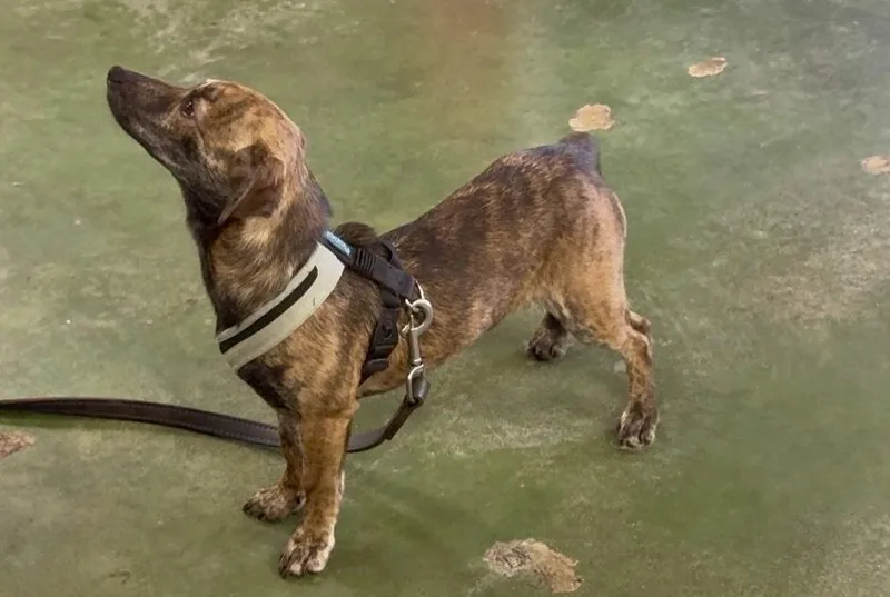 Little One thumbnail 2