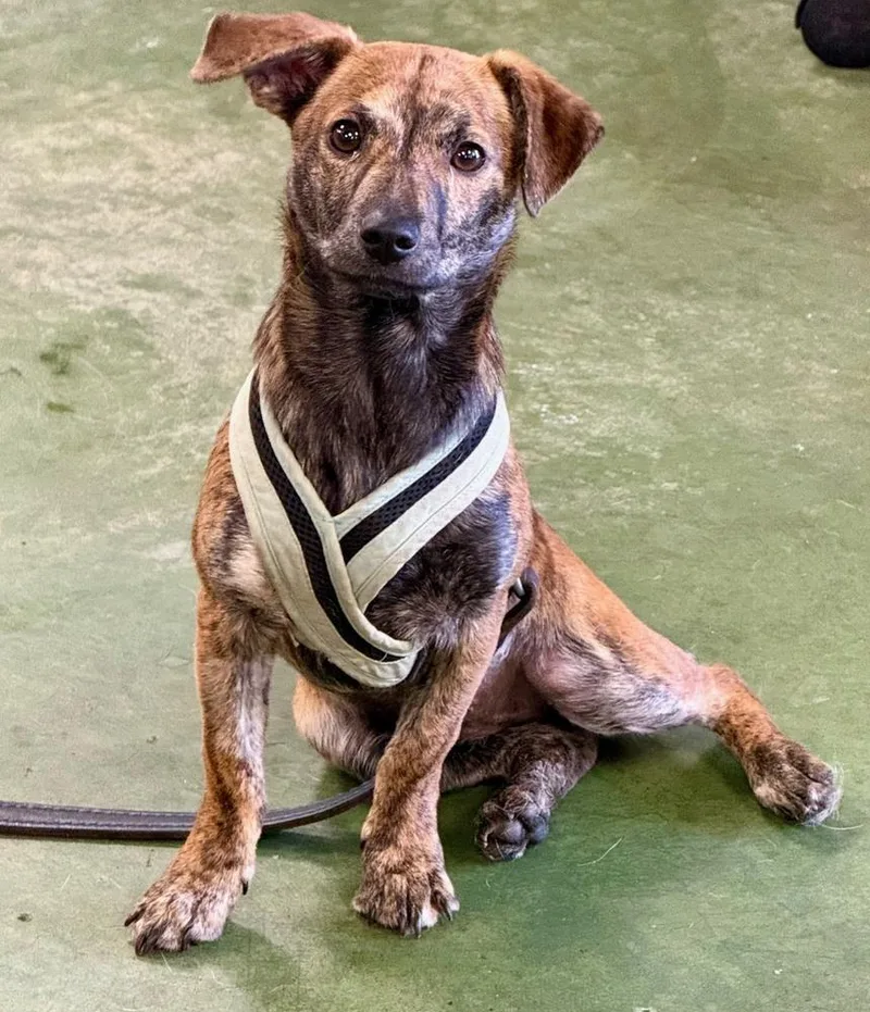 Little One thumbnail 3