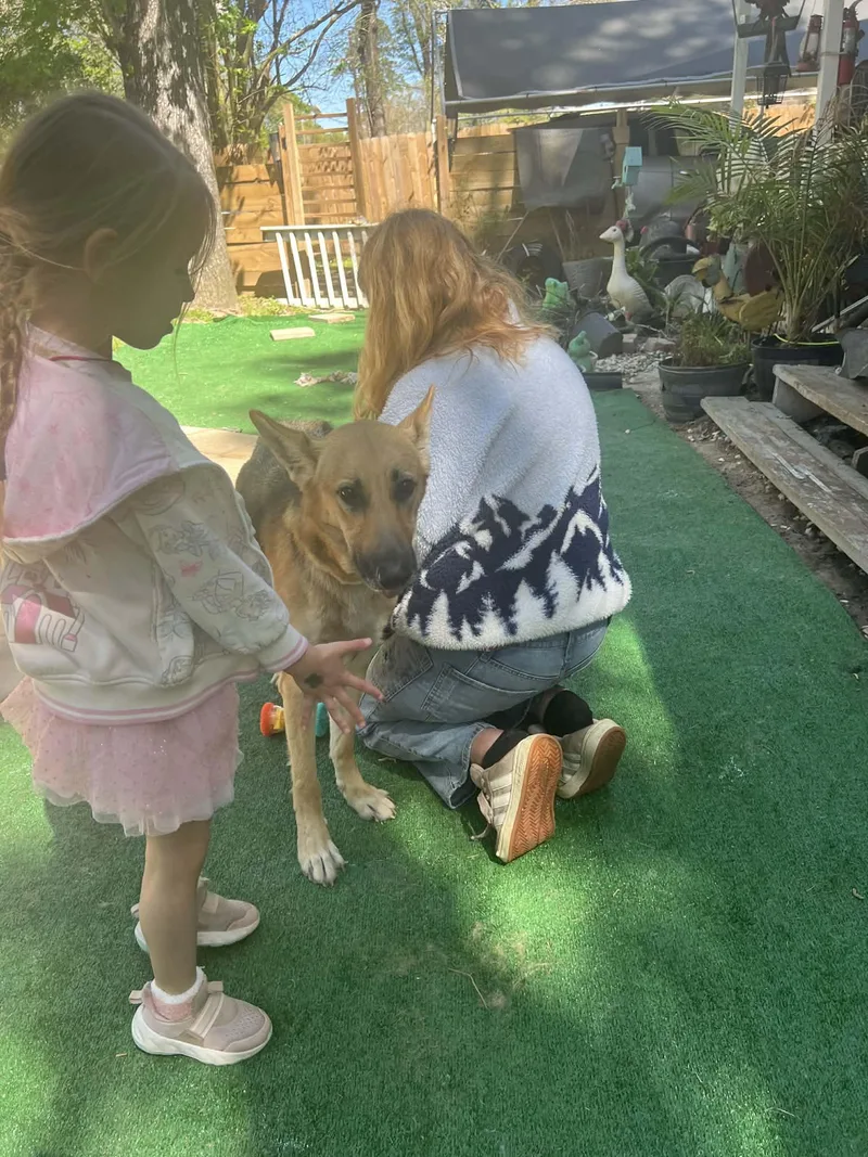 Zenuka Gs thumbnail 4